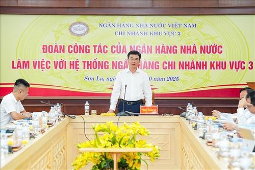 Ổn định hoạt động, thúc đẩy tín dụng an toàn vùng Tây Bắc