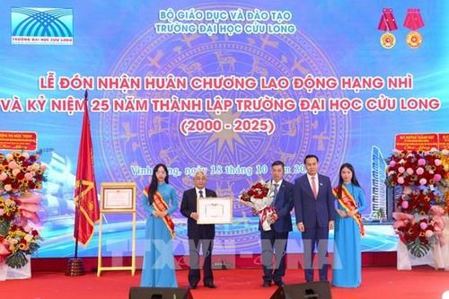 Từ giảng đường đến thị trường lao động: Hướng tới nhân lực chất lượng cao