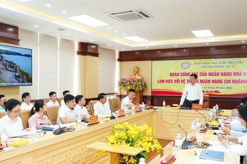 Phó Thống đốc đề nghị Ngân hàng Nhà nước khu vực 3 tiếp tục triển khai các giải pháp tháo gỡ khó khăn cho người dân