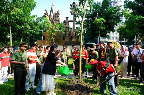 'Thành phố nở hoa' từ 8.000 cây xanh của tuổi trẻ Thủ đô