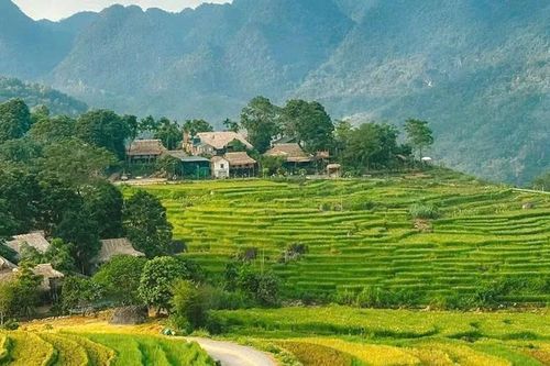Quản lý trật tự xây dựng hướng đến phát triển du lịch bền vững