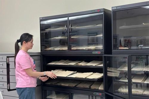 Gìn giữ 'hồn cốt' qua từng sách cổ