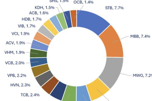 Vì sao hiệu suất 17 quỹ mở thua xa VN-Index?