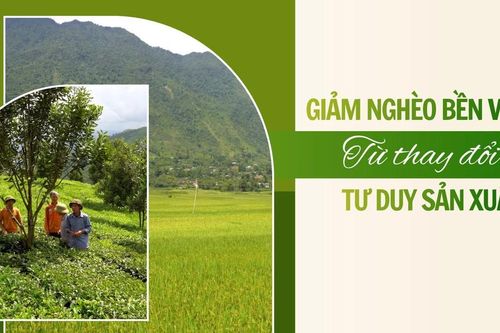 Giảm nghèo bền vững từ thay đổi tư duy sản xuất