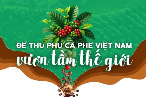 Để thủ phủ cà phê Việt Nam vươn tầm thế giới