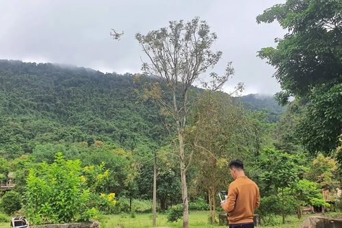 Ứng dụng công nghệ trong quản lý, bảo vệ rừng