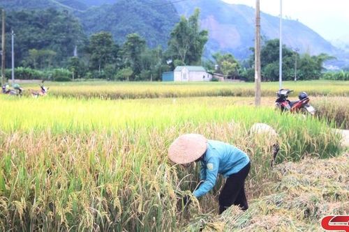 Đầu tư cho thủy lợi để hoàn thiện tiêu chí nông thôn mới