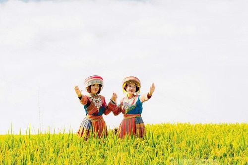 Thiếu nữ miền sơn cước