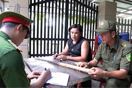 Những 'lá chắn' thầm lặng giữa lòng thành phố