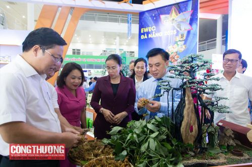 Đà Nẵng lấy ý kiến đối với Dự thảo Nghị quyết mới về hỗ trợ xúc tiến thương mại