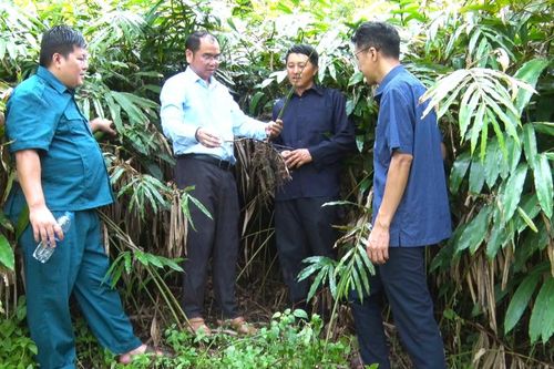 Học theo Bác để làm giàu trên vùng đất khó