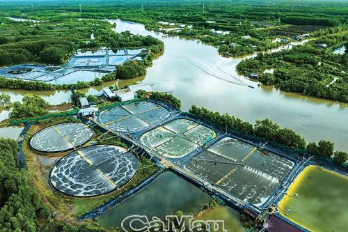Chiến lược xanh hóa nông nghiệp để hội nhập