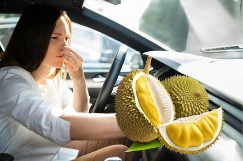 Cách khử mùi sầu riêng trên xe hơi nhanh nhất