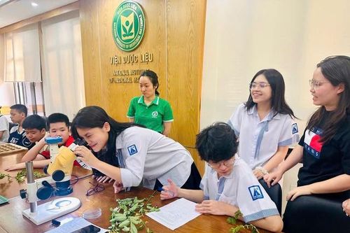 Từng bước xây dựng các trung tâm nhân giống, bảo tồn và phát triển dược liệu ứng dụng công nghệ cao