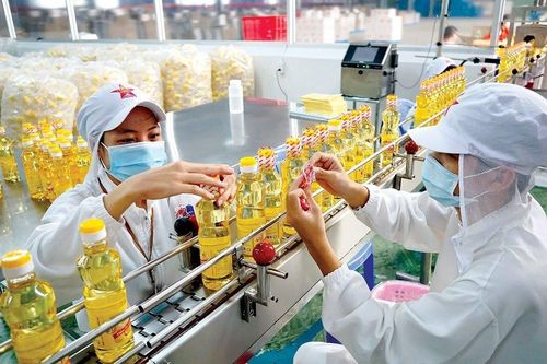 Vocarimex chốt hủy tư cách đại chúng, Kido thâu tóm nốt cổ phần