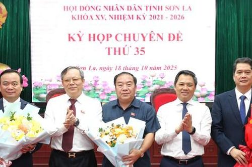 Bí thư Đảng ủy, Chủ tịch HĐND phường được bầu giữ chức Phó Chủ tịch UBND tỉnh