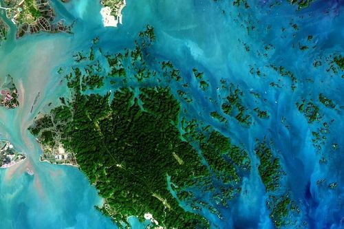 Giải mã đại dương bằng trí tuệ nhân tạo