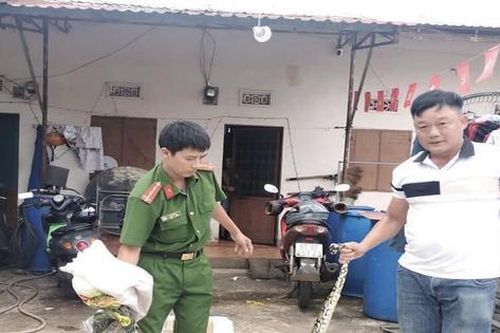 Một con trăn lớn chắn ngang quốc lộ đã được người dân giao nộp kiểm lâm