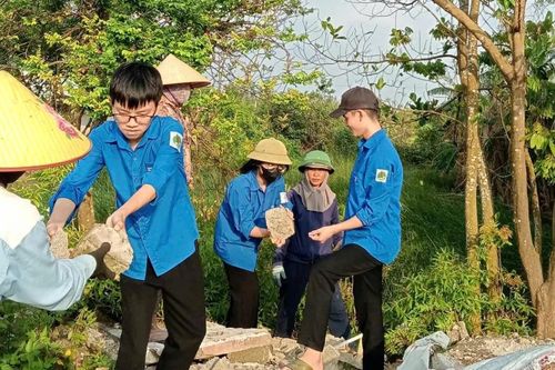 Tuổi trẻ Hà Tĩnh thực hiện nhiều hoạt động ý nghĩa Ngày Chủ nhật xanh