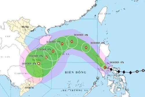 Lâm Đồng chủ động ứng phó bão số 12