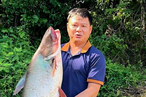 Hàng trăm người đổ về hồ Trị An săn 'kho báu cá khủng', có con nặng 20kg