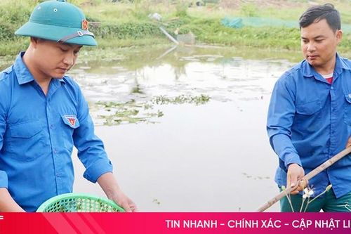Nông dân xã miền núi phát triển kinh tế từ 'vàng đen'