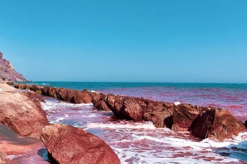 Biển Đỏ từng khô cạn hoàn toàn cách đây hơn 6 triệu năm