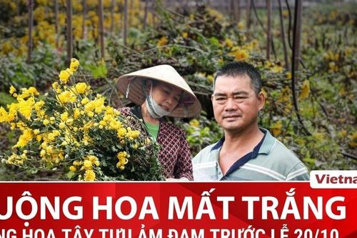 'Thủ phủ' hoa tươi Hà Nội nhuốm màu ảm đạm trước dịp lễ 20/10