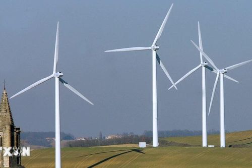 IEA: Chính sách năng lượng của Mỹ ảnh hưởng triển vọng điện gió toàn cầu