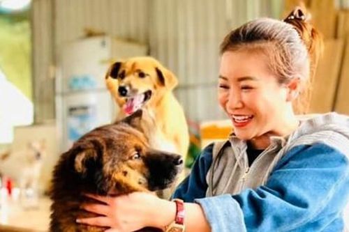 Nữ diễn viên chi 100 triệu mỗi tháng nuôi gần 400 con chó bị bỏ rơi