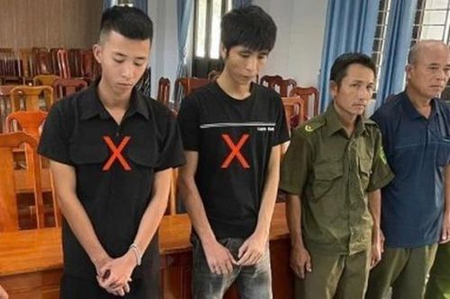 'Mở tiệc' ma túy tại gia, cả nhóm bị bắt