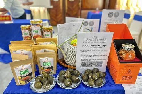 Sở hữu nhiều sản phẩm tiêu biểu, địa phương tăng cường đầu ra cho nông dân