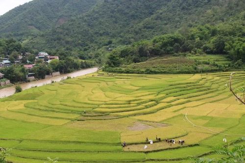 'Hộ chiếu' giúp đặc sản vùng biên vươn xa