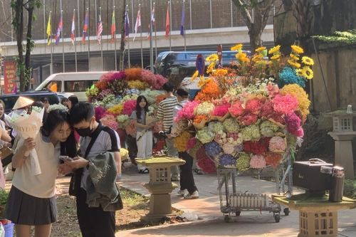 Dịp lễ 20/10: 'Quà tặng xanh' lên ngôi