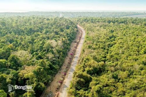 Đồng Nai đóng góp tích cực vào mạng lưới các khu dự trữ sinh quyển toàn cầu