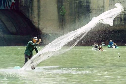 [Chùm ảnh] Đổ về chân đập Trị An 'săn lộc trời' sau khi thủy điện lớn nhất miền Nam đóng cửa xả lũ