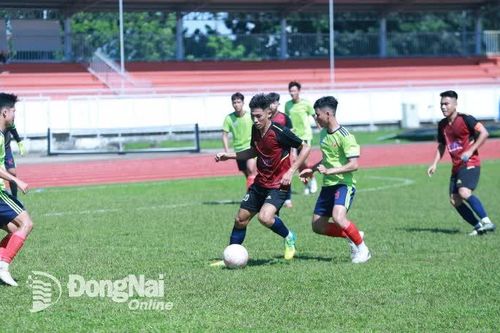 Đồng Tâm Trị An FC, Công ty Scavy giành vé dự vòng chung kết