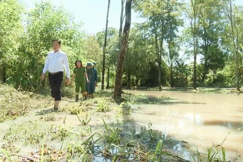 Khắp nơi trong tỉnh ngày 19-10-2025