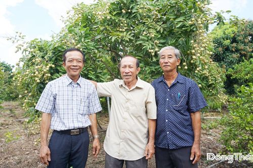 Hạt nhân vững mạnh trong xây dựng và phát triển mô hình hội quán