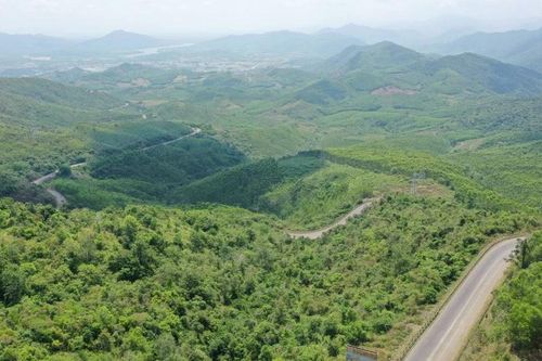 Chính phủ chỉ đạo triển khai đầu tư xây dựng đường bộ cao tốc Quy Nhơn-Pleiku