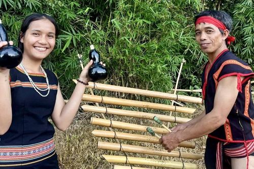 'Hoa của núi' tỏa sắc tại Hà Nội