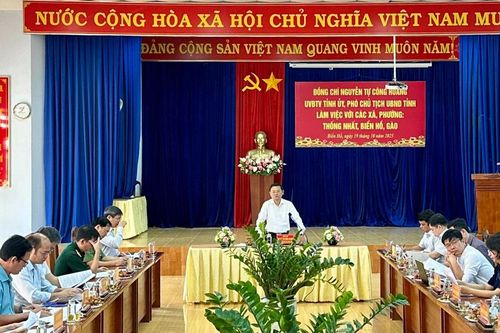 Phó Chủ tịch UBND tỉnh Nguyễn Tự Công Hoàng: Các địa phương phải giải ngân đạt 100% kế hoạch vốn