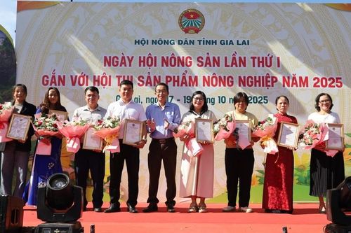 Nhiều sản phẩm, ý tưởng sáng tạo được tôn vinh