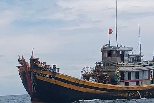 Tiếp tục bắt giữ 2 tàu giã cào trái phép tại vùng ven biển Lâm Đồng