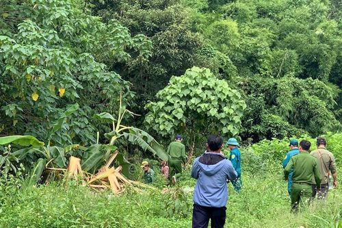 Phát hiện thi thể người đàn ông tại bìa rừng