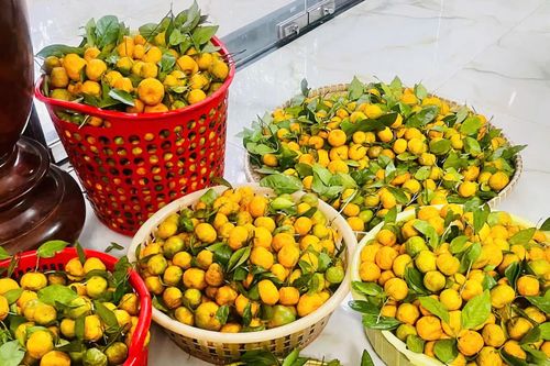 Biến trái rừng thành vị thuốc quý
