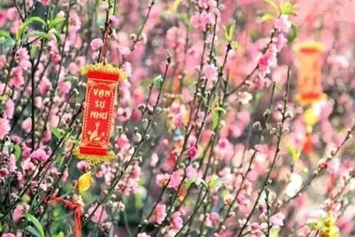 Tết Nguyên đán Bính Ngọ 2026 được nghỉ 9 ngày liên tục.