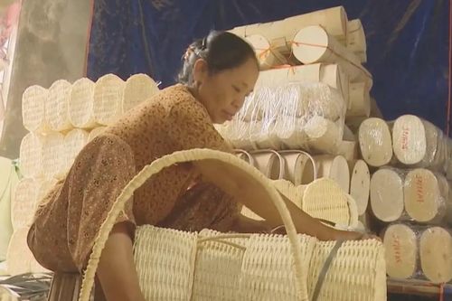 Nông thôn số ở Phượng Dực