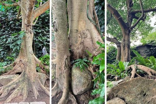 Sức mạnh nội lực