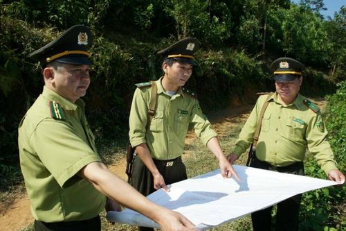Khai thác tiềm năng rừng - mở hướng phát triển xanh